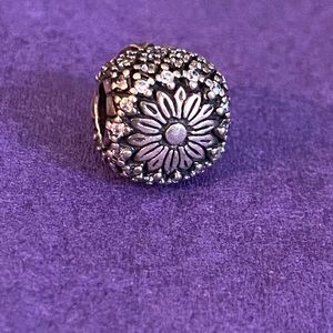 Pandora bead